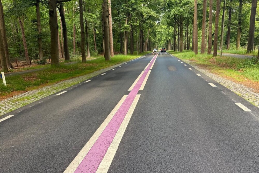 Soorten strepen op de weg | Theorie.nl