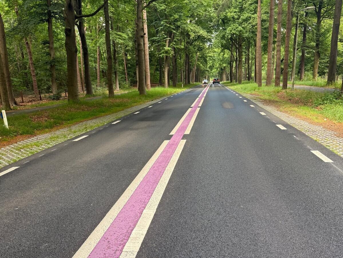 Paarse strepen op de weg kas756gs38hs6s345